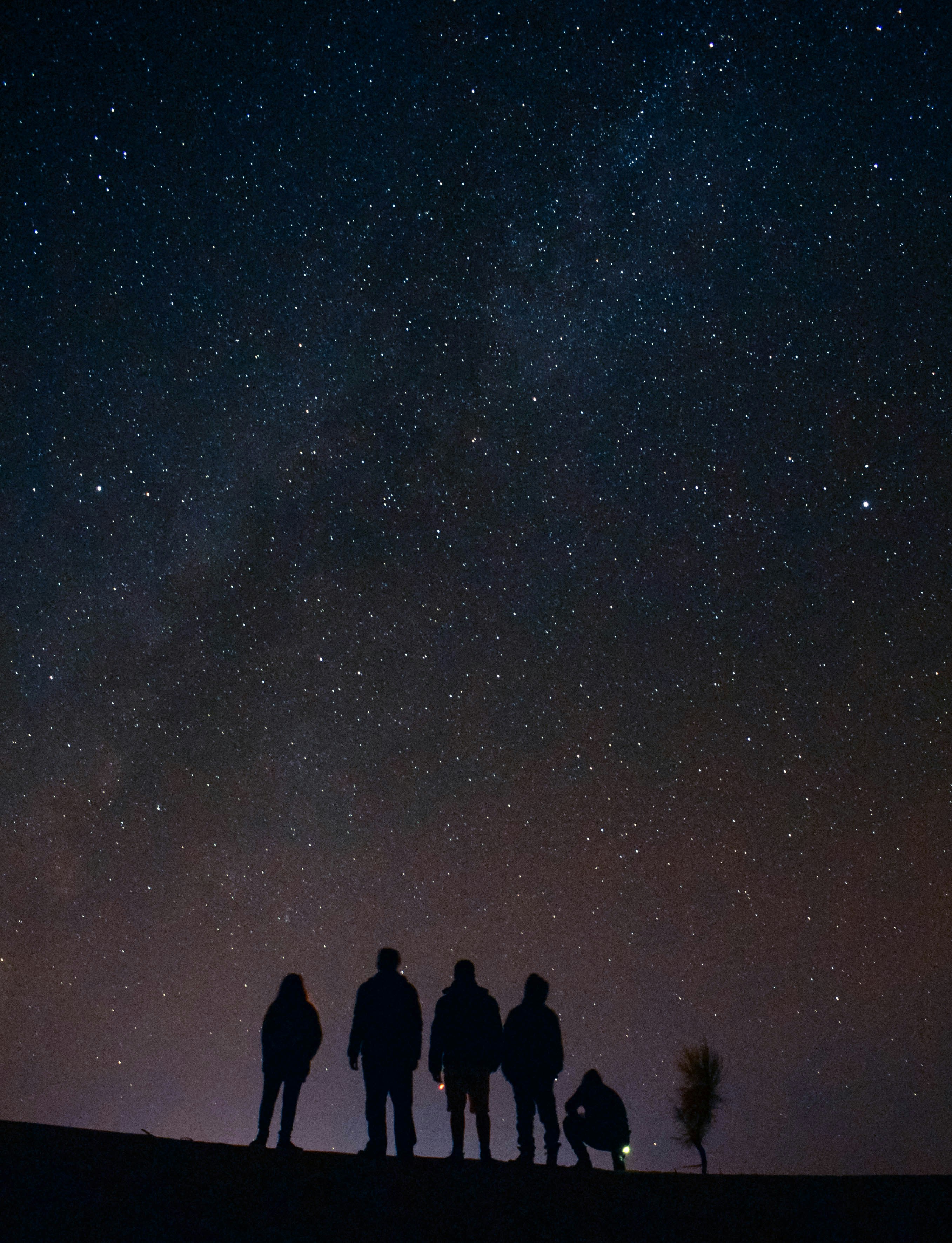 Star Gazing