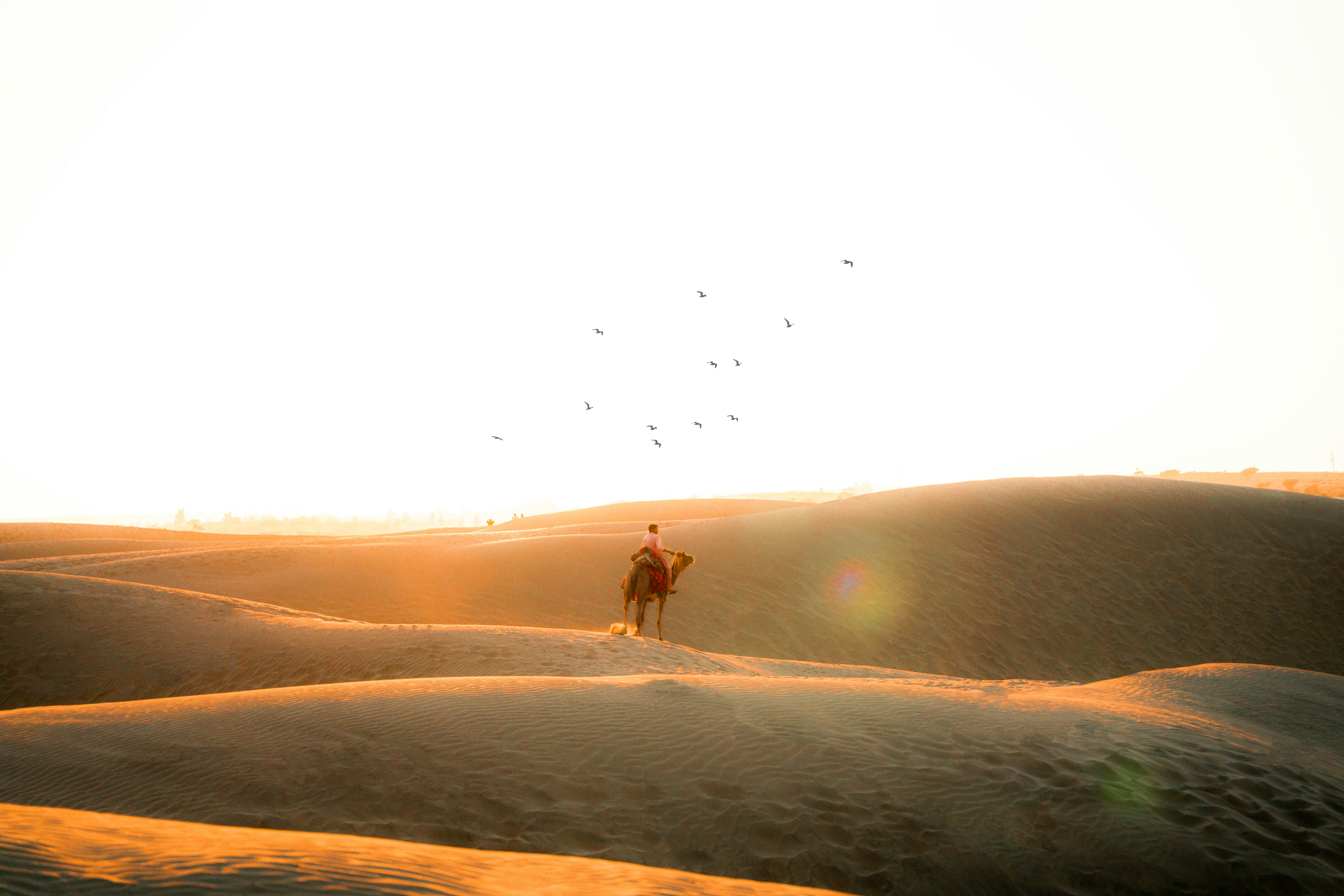 Sam Sand Dunes